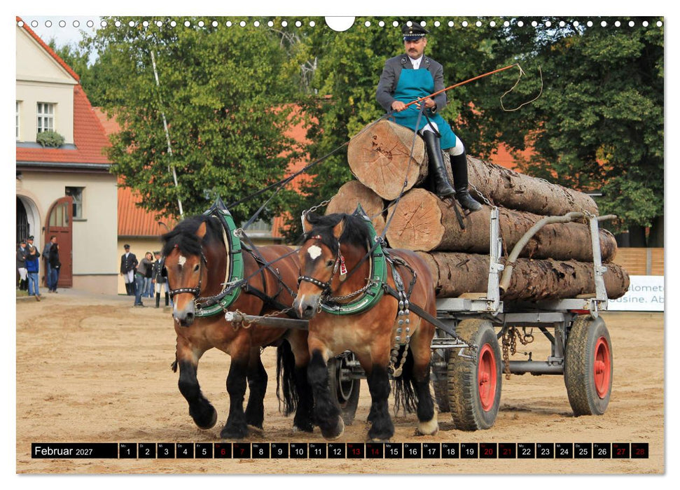 Schwere Pferde 2027 (CALVENDO Wandkalender 2027)