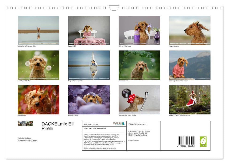 DACKELmix Elli Pirelli (CALVENDO Wandkalender 2027)