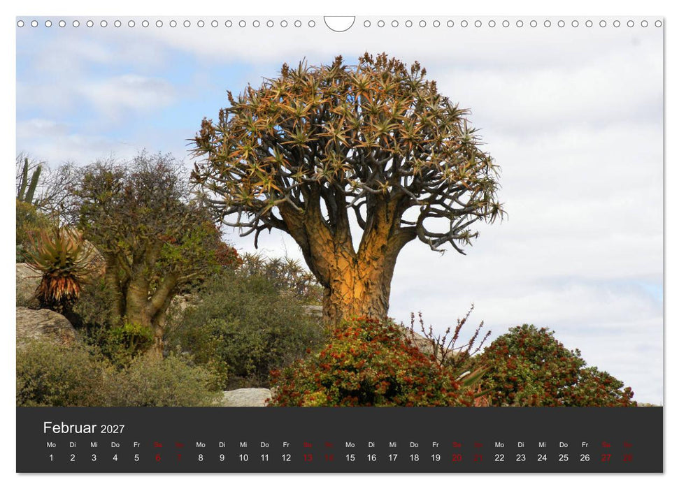 Südafrika - Einzigartige Naturschönheit (CALVENDO Wandkalender 2027)