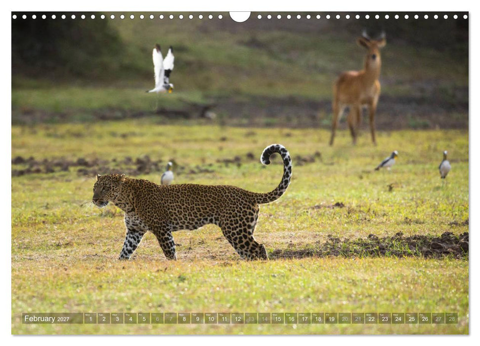 Zambia (CALVENDO Monthly Calendar 2027)