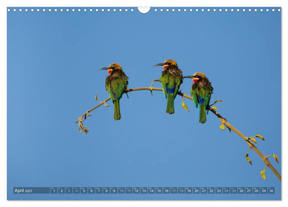 Zambia (CALVENDO Monthly Calendar 2027)