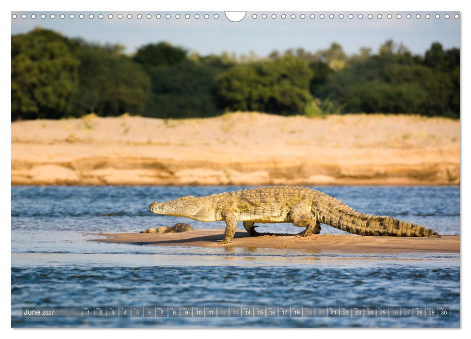 Zambia (CALVENDO Monthly Calendar 2027)