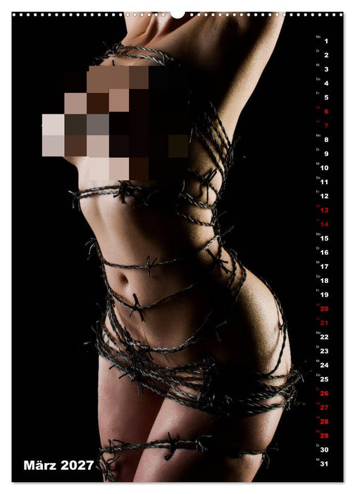 Fesselnde Schönheit (CALVENDO Wandkalender 2027)
