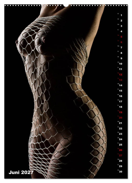 Fesselnde Schönheit (CALVENDO Wandkalender 2027)