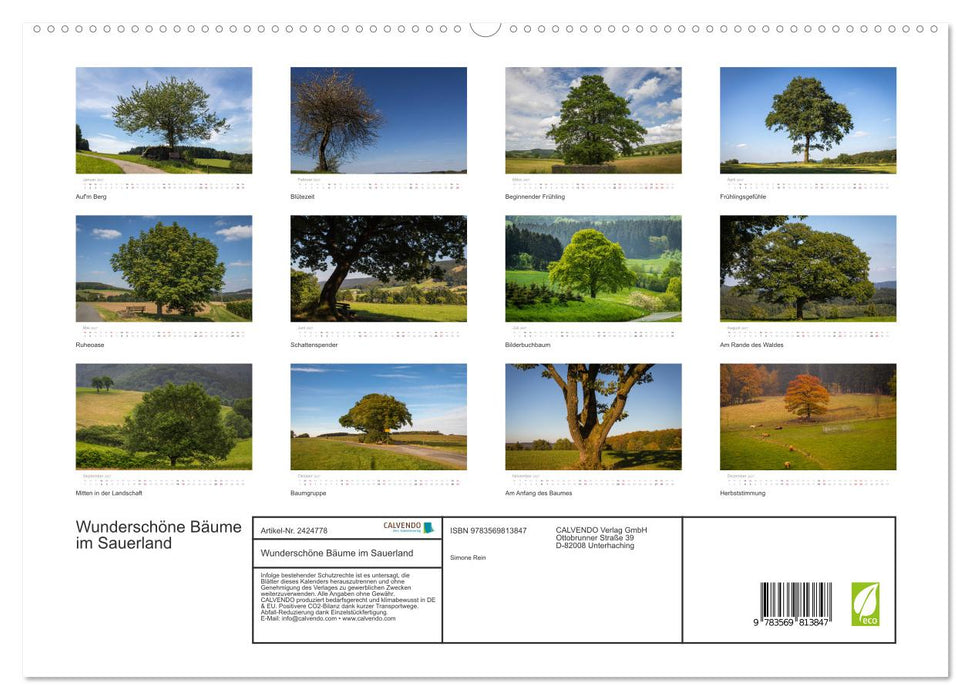 Wunderschöne Bäume im Sauerland (CALVENDO Premium Wandkalender 2027)