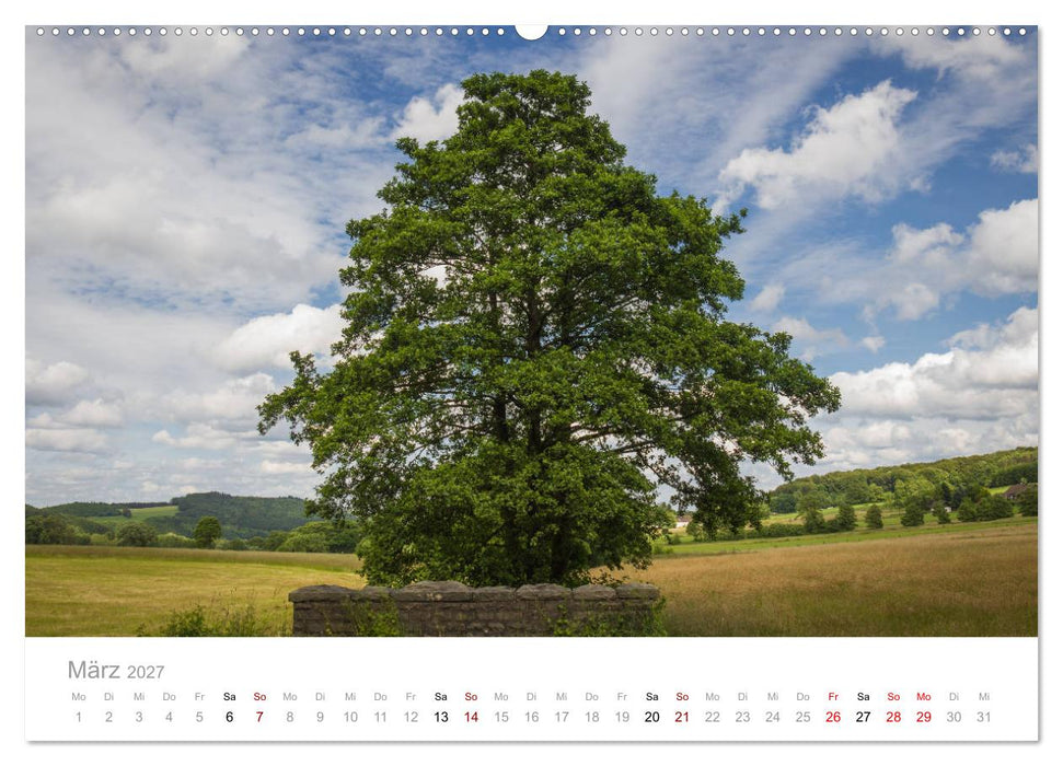 Wunderschöne Bäume im Sauerland (CALVENDO Premium Wandkalender 2027)