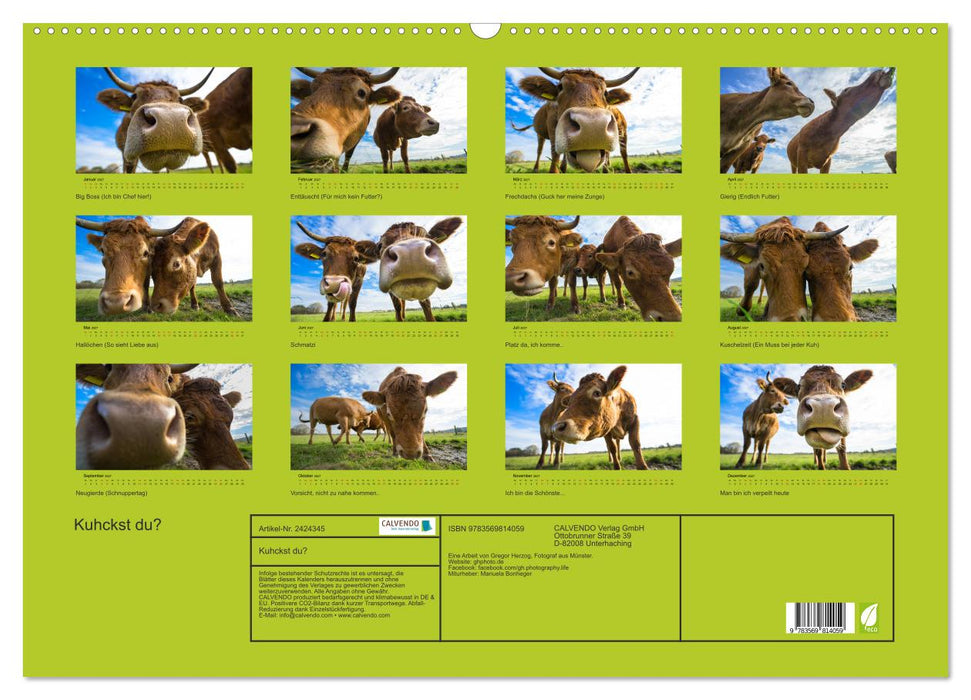 Kuhckst du? (CALVENDO Wandkalender 2027)