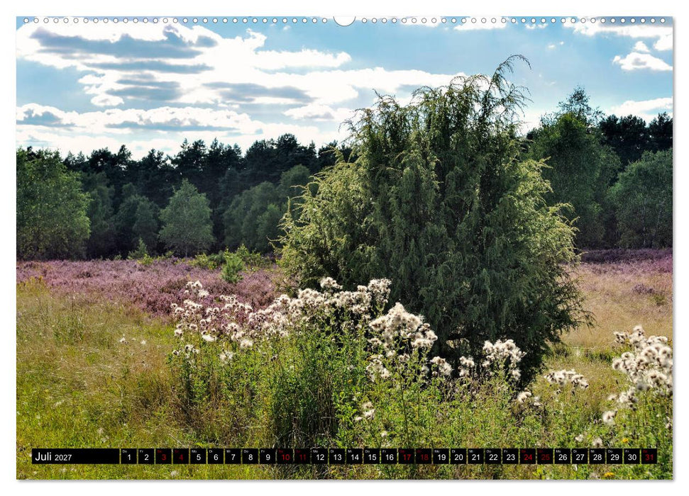 Lüneburger Heide (CALVENDO Premium Wandkalender 2027)