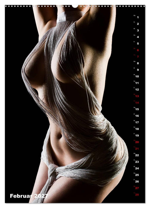 Fesselnde Schönheit (CALVENDO Premium Wandkalender 2027)