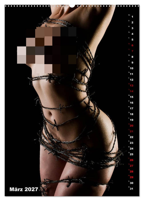 Fesselnde Schönheit (CALVENDO Premium Wandkalender 2027)