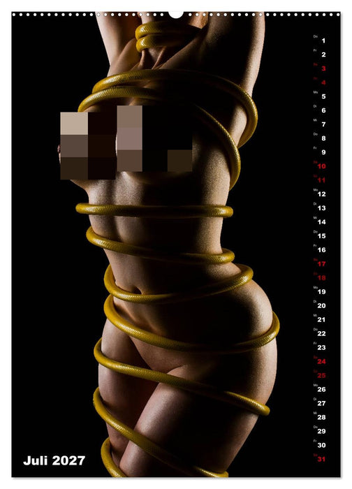 Fesselnde Schönheit (CALVENDO Premium Wandkalender 2027)