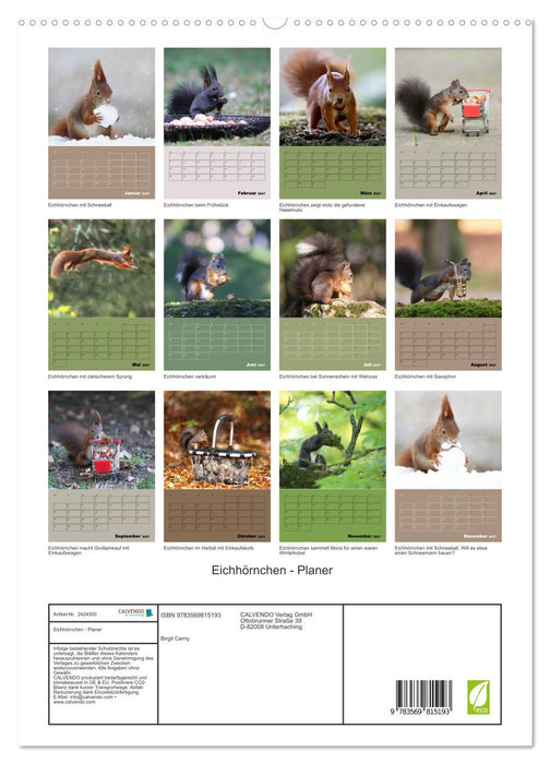 Eichhörnchen - Planer (CALVENDO Premium Wandkalender 2027)
