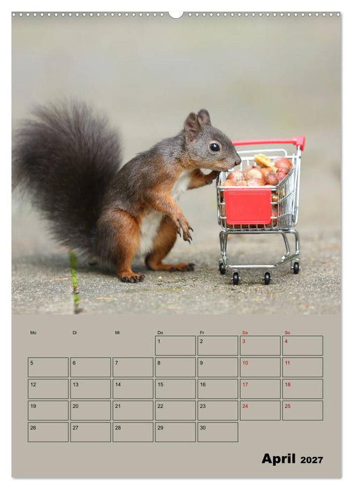 Eichhörnchen - Planer (CALVENDO Premium Wandkalender 2027)