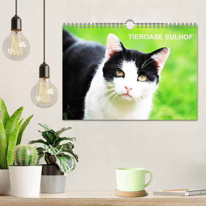 Eulhof (CALVENDO Wandkalender 2027)