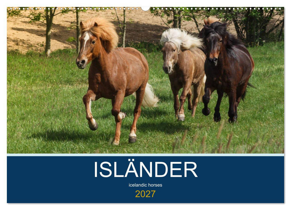 Isländer - icelandic horses (CALVENDO Wandkalender 2027)