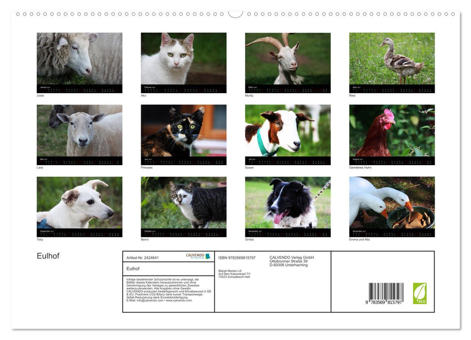 Eulhof (CALVENDO Premium Wandkalender 2027)