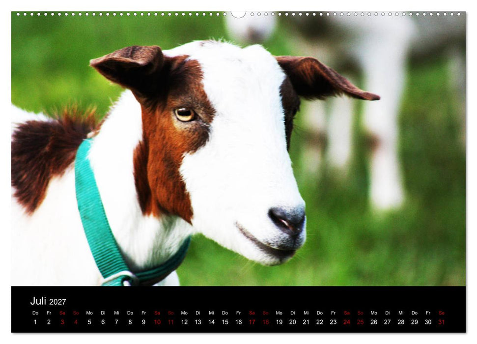 Eulhof (CALVENDO Premium Wandkalender 2027)