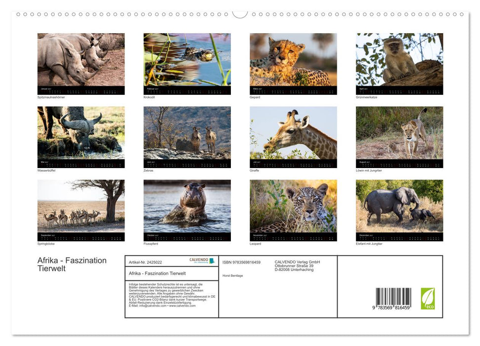 Afrika - Faszination Tierwelt (CALVENDO Premium Wandkalender 2027)