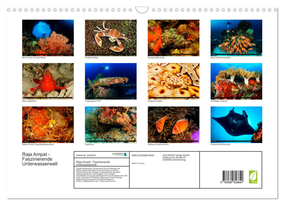 Raja Ampat - Faszinierende Unterwasserwelt (CALVENDO Wandkalender 2027)