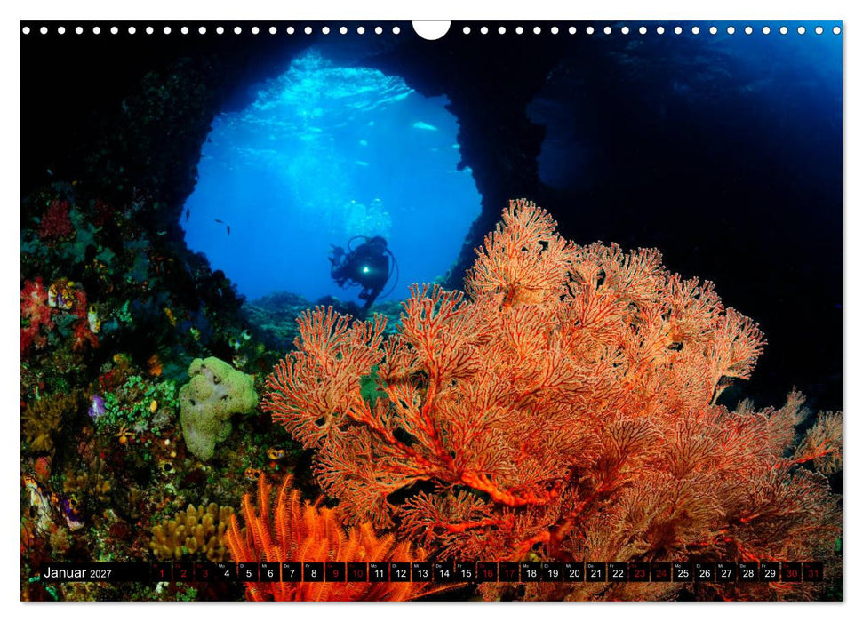 Raja Ampat - Faszinierende Unterwasserwelt (CALVENDO Wandkalender 2027)
