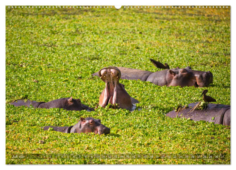 Abenteuer Sambia (CALVENDO Premium Wandkalender 2027)
