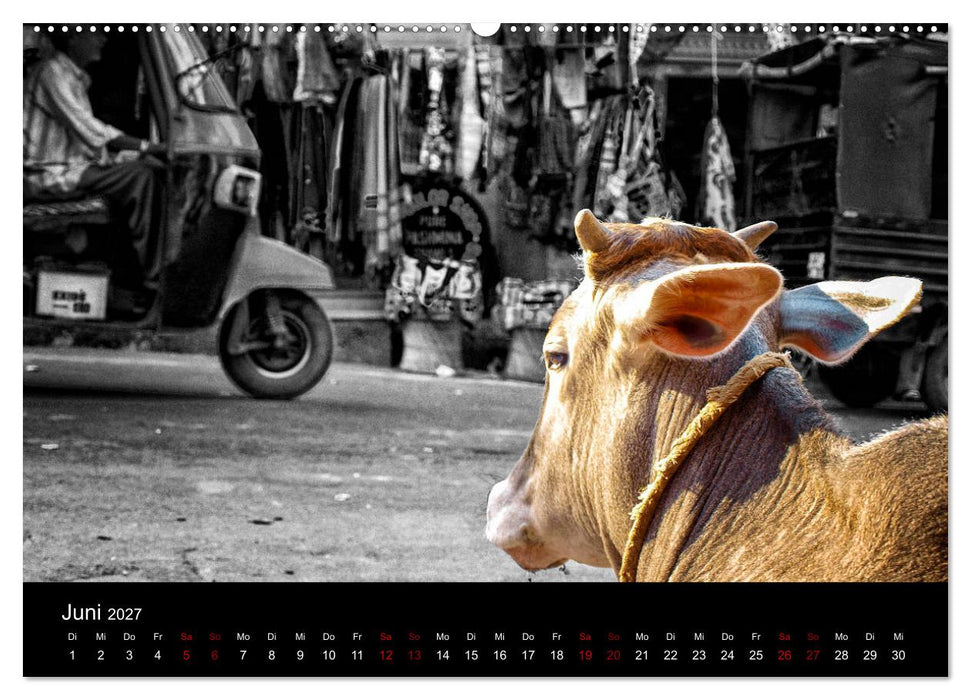 Indien Colorkey (CALVENDO Wandkalender 2027)