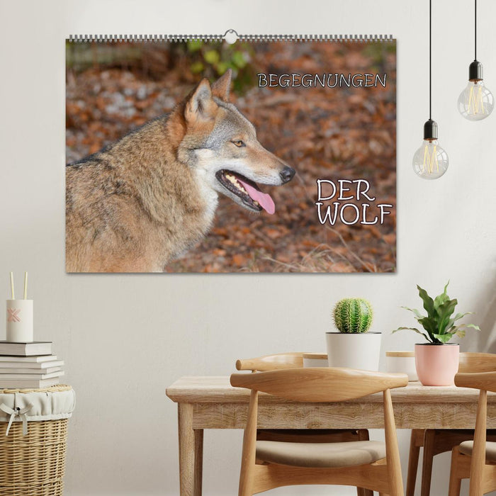 Begegnungen DER WOLF (CALVENDO Wandkalender 2027)