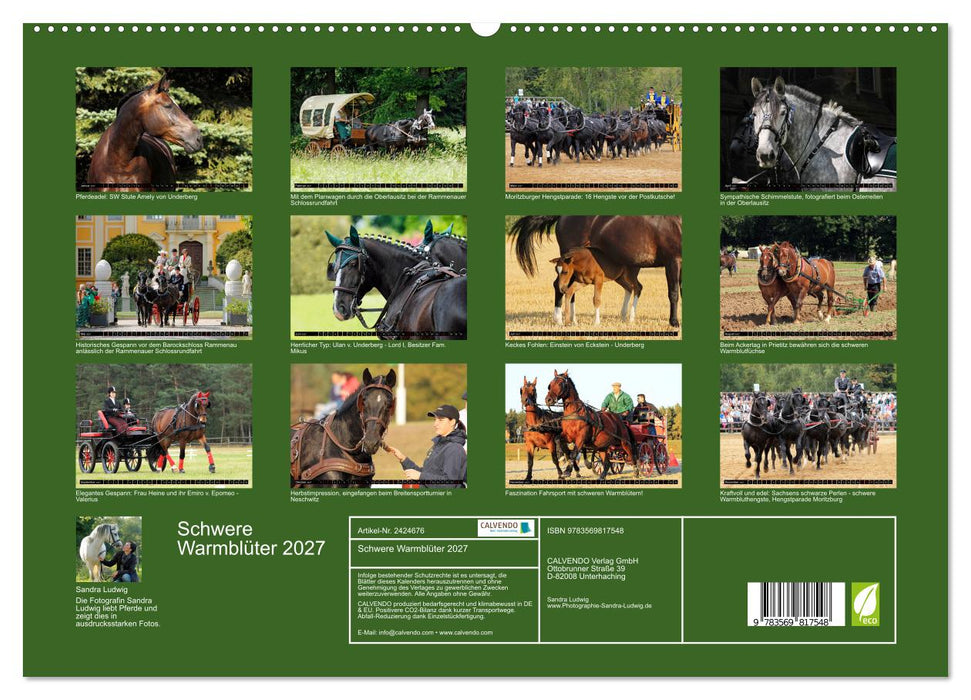 Schwere Warmblüter 2027 (CALVENDO Premium Wandkalender 2027)