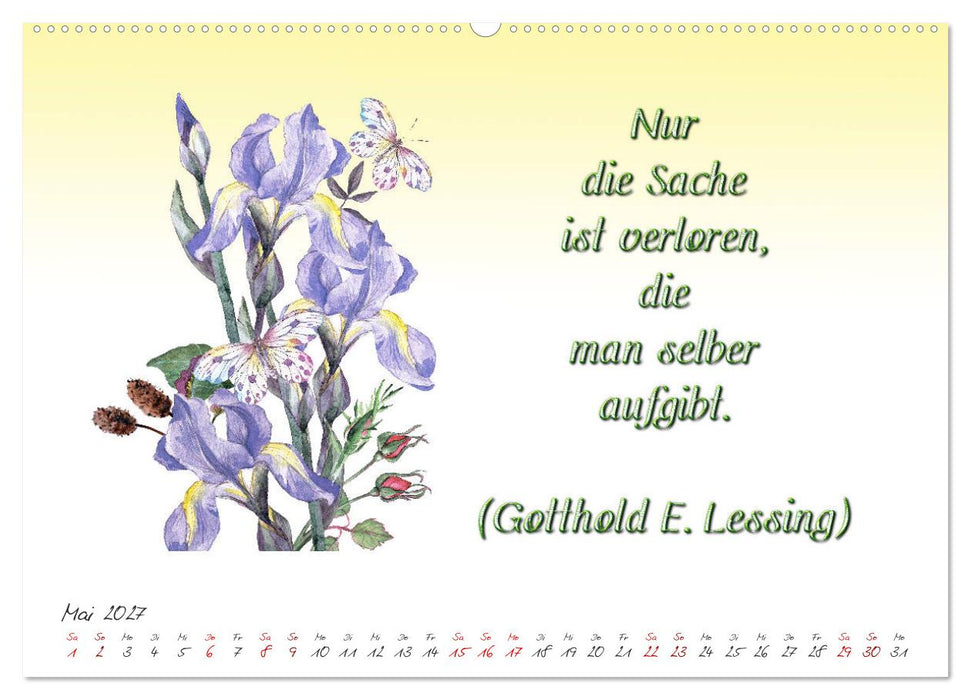 12 unterhaltsame Zitate für ein schönes Jahr (CALVENDO Premium Wandkalender 2027)