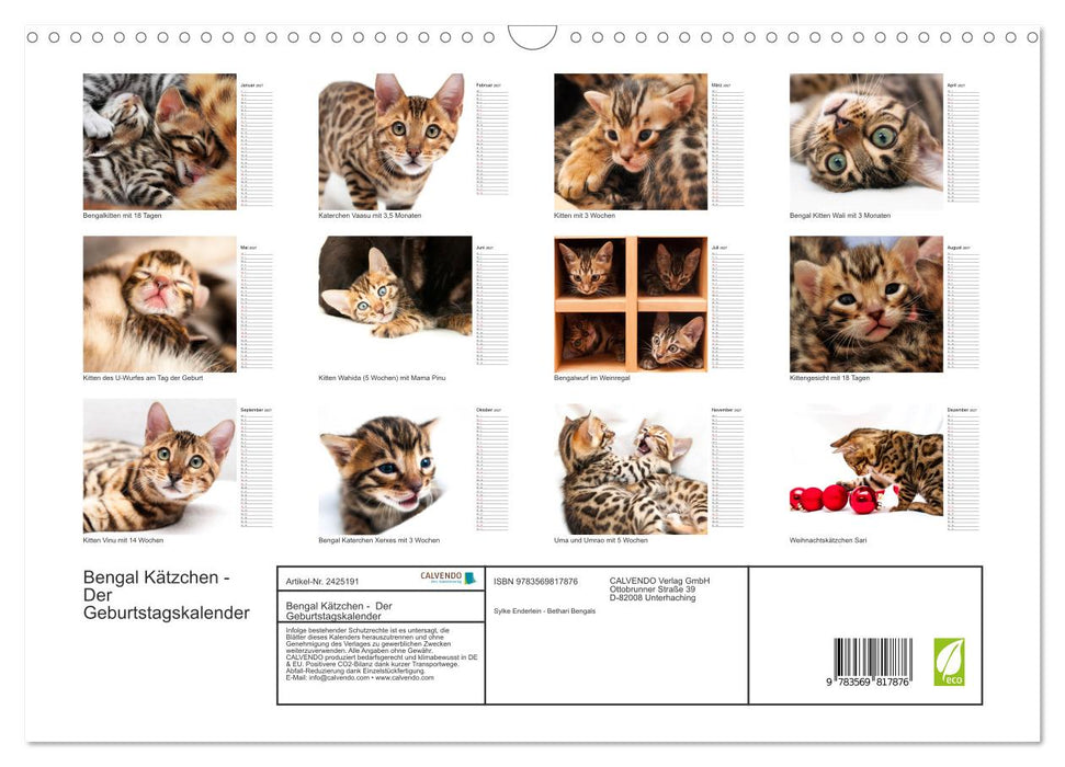 Bengal Kätzchen - Der Geburtstagskalender (CALVENDO Wandkalender 2027)