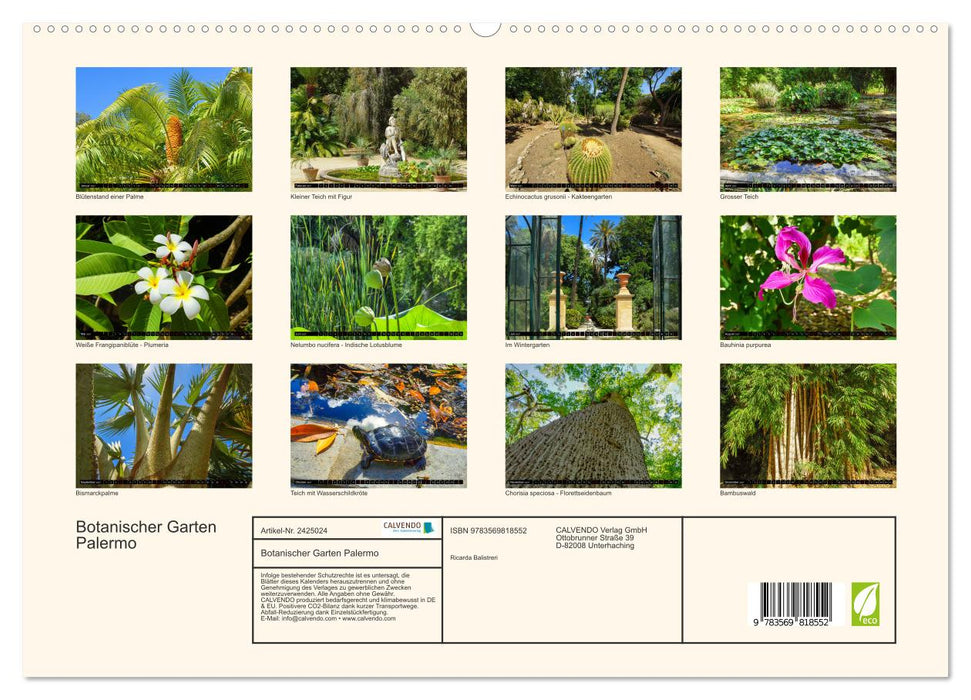 Botanischer Garten Palermo (CALVENDO Premium Wandkalender 2027)