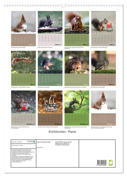 Eichhörnchen - Planer (CALVENDO Wandkalender 2027)