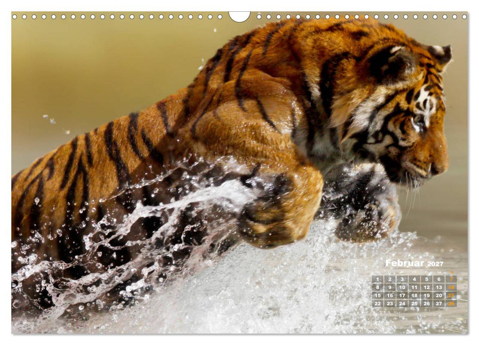 WILDE TIERE IN AKTION (CALVENDO Wandkalender 2027)