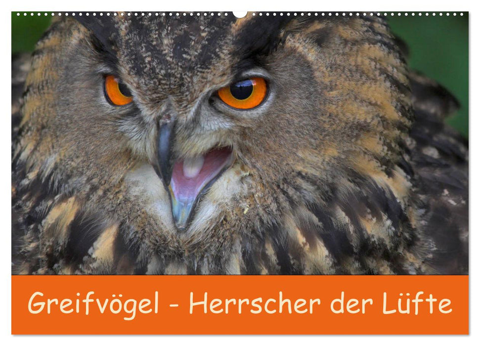 Greifvögel - Herrscher der Lüfte (CALVENDO Wandkalender 2027)