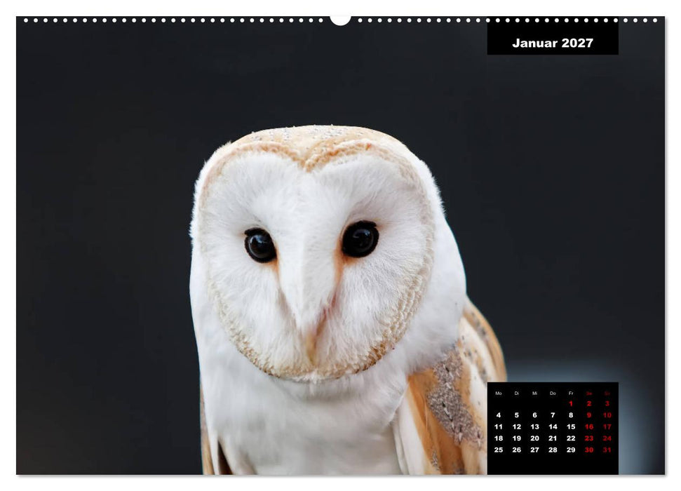 Greifvögel - Herrscher der Lüfte (CALVENDO Wandkalender 2027)