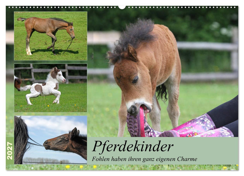 Pferdekinder - Fohlen haben ihren ganz eigenen Charme (CALVENDO Wandkalender 2027)