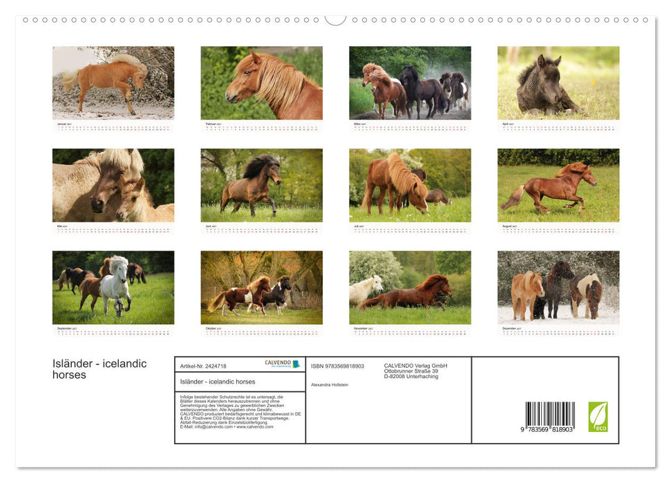 Isländer - icelandic horses (CALVENDO Premium Wandkalender 2027)