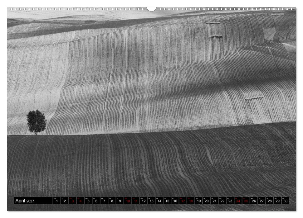 Toscana - monocromatico (CALVENDO Premium Wandkalender 2027)