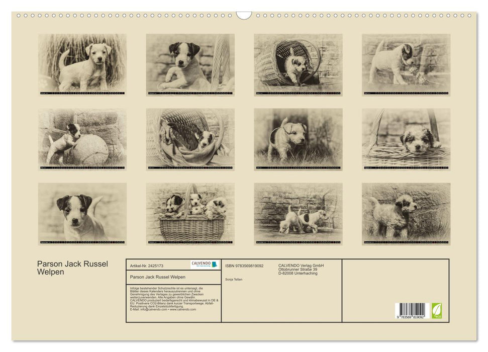 Parson Jack Russel Welpen (CALVENDO Wandkalender 2027)