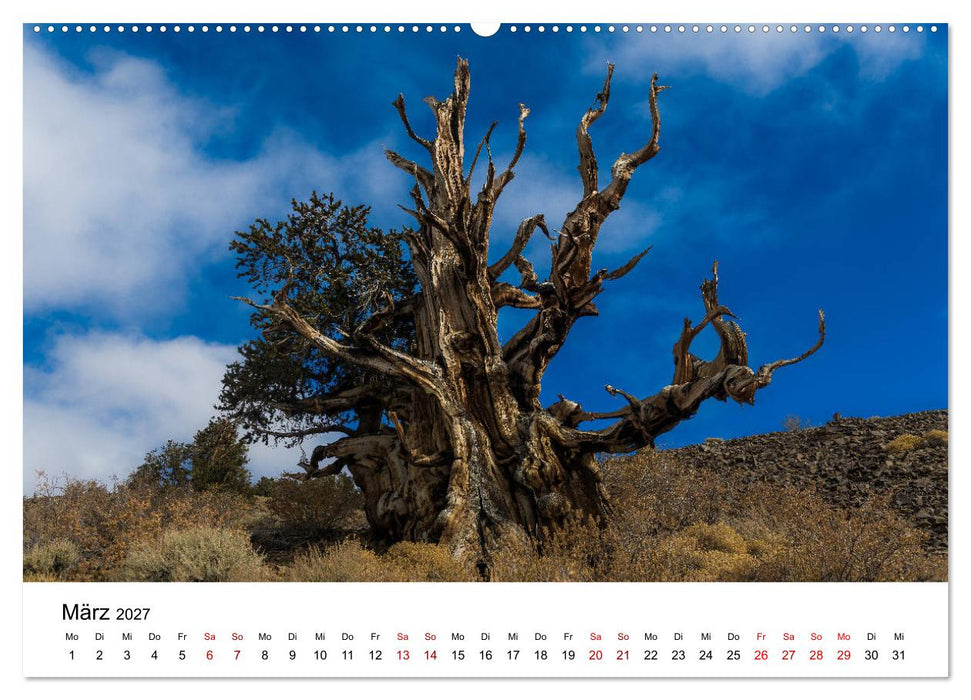 Naturparadiese zwischen Los Angeles und Las Vegas (CALVENDO Wandkalender 2027)
