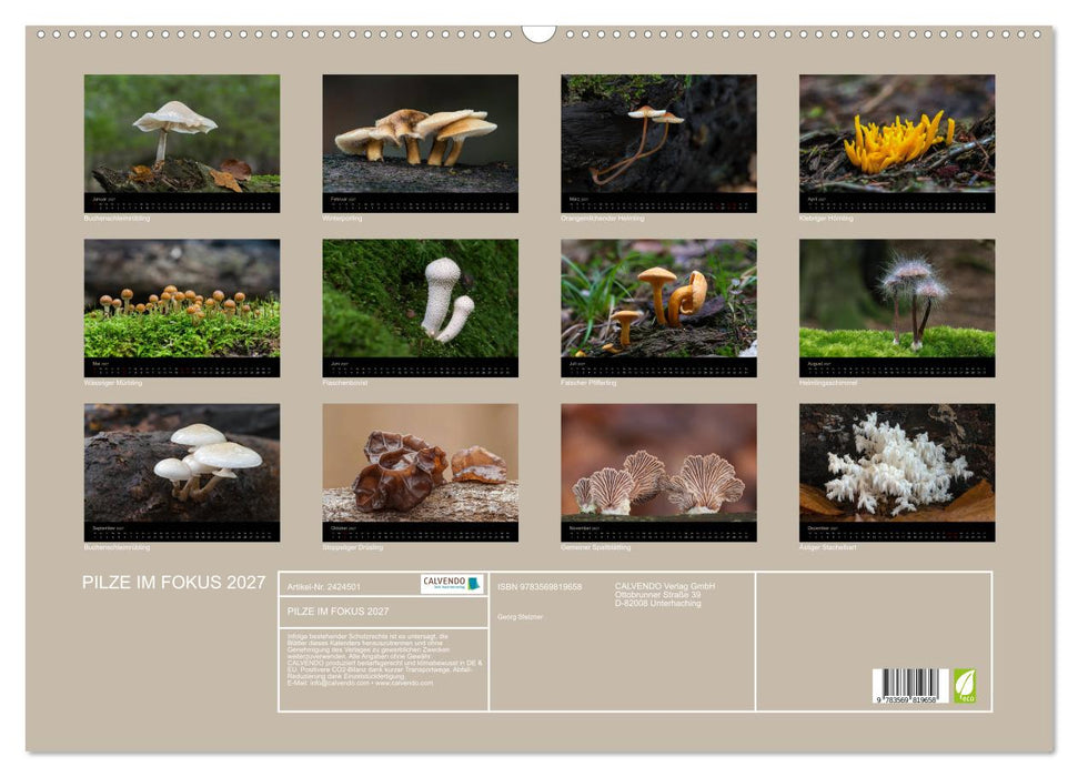 PILZE IM FOKUS 2027 (CALVENDO Wandkalender 2027)