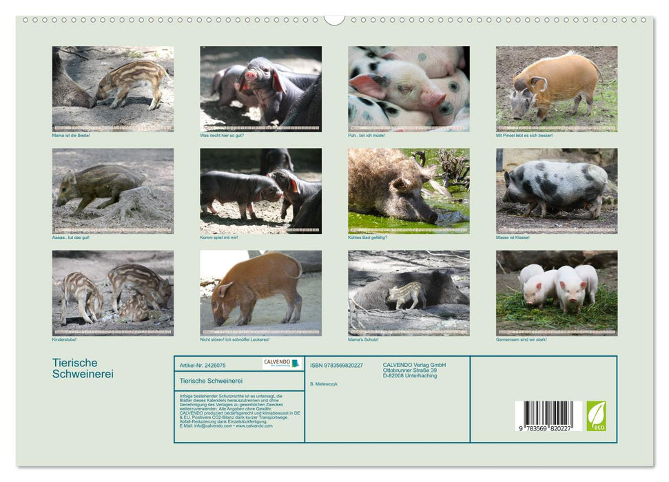 Tierische Schweinerei (CALVENDO Premium Wandkalender 2027)