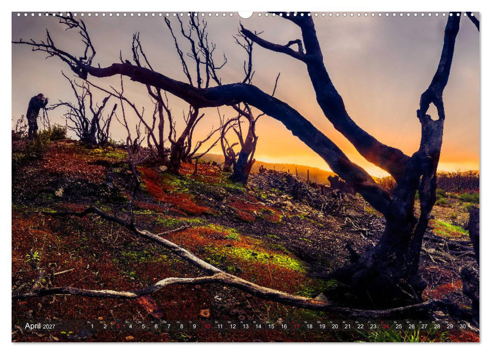 La Isla de La Gomera - Wilde Schönheit im Atlantik (CALVENDO Wandkalender 2027)