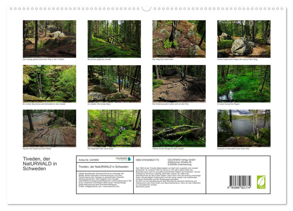 Tiveden, der NatURWALD in Schweden (CALVENDO Premium Wandkalender 2027)