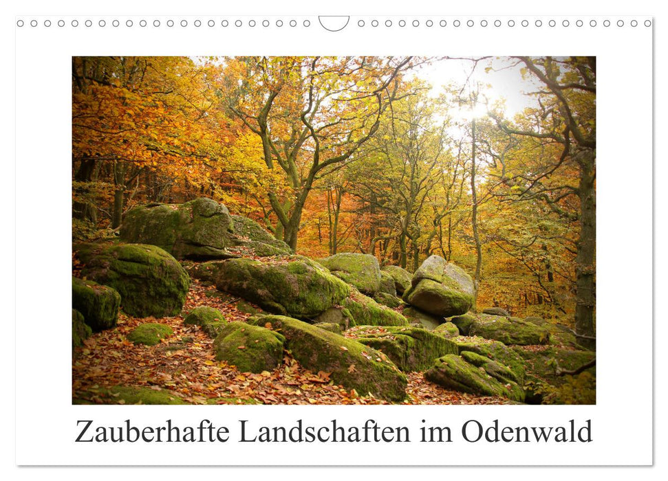 Zauberhafte Landschaften im Odenwald (CALVENDO Wandkalender 2027)