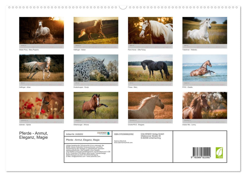 Pferde - Anmut, Eleganz, Magie (CALVENDO Premium Wandkalender 2027)