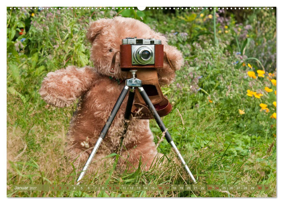 Kunterbunte Bärenwelt - Teddys (CALVENDO Premium Wandkalender 2027)