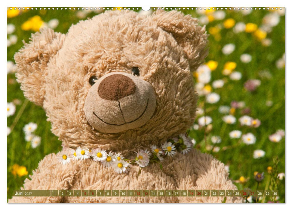 Kunterbunte Bärenwelt - Teddys (CALVENDO Premium Wandkalender 2027)