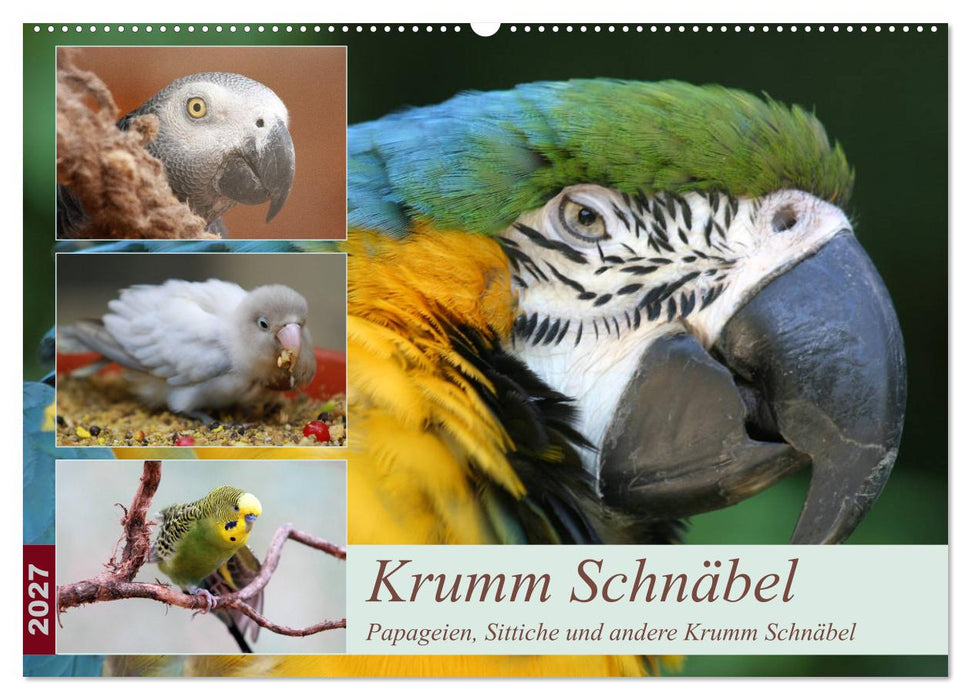 Krumm Schnäbel - Papageien, Sittiche und andere Krumm Schnäbel (CALVENDO Wandkalender 2027)