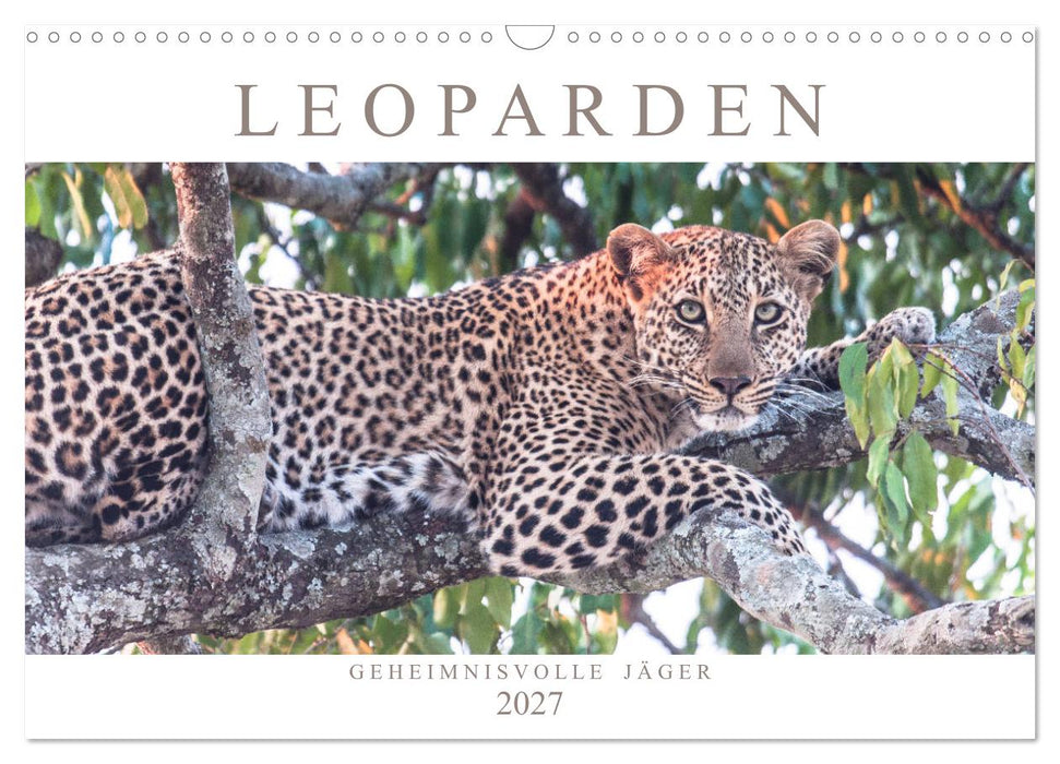 Leoparden - Geheimnisvolle Jäger (CALVENDO Wandkalender 2027)